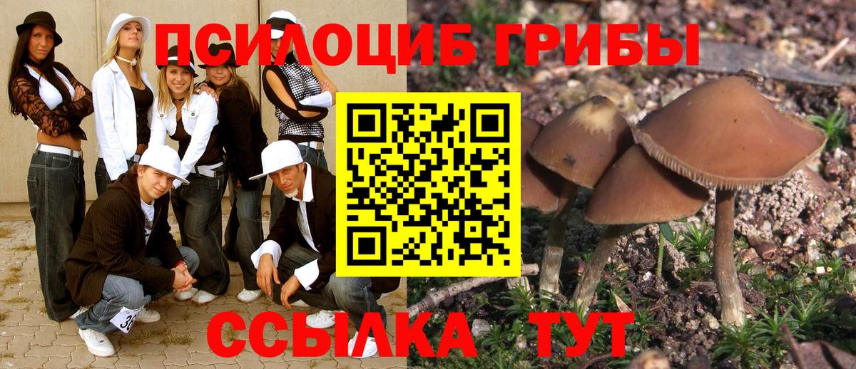 Галлюциногенные грибы Psilocybine cubensis Салават