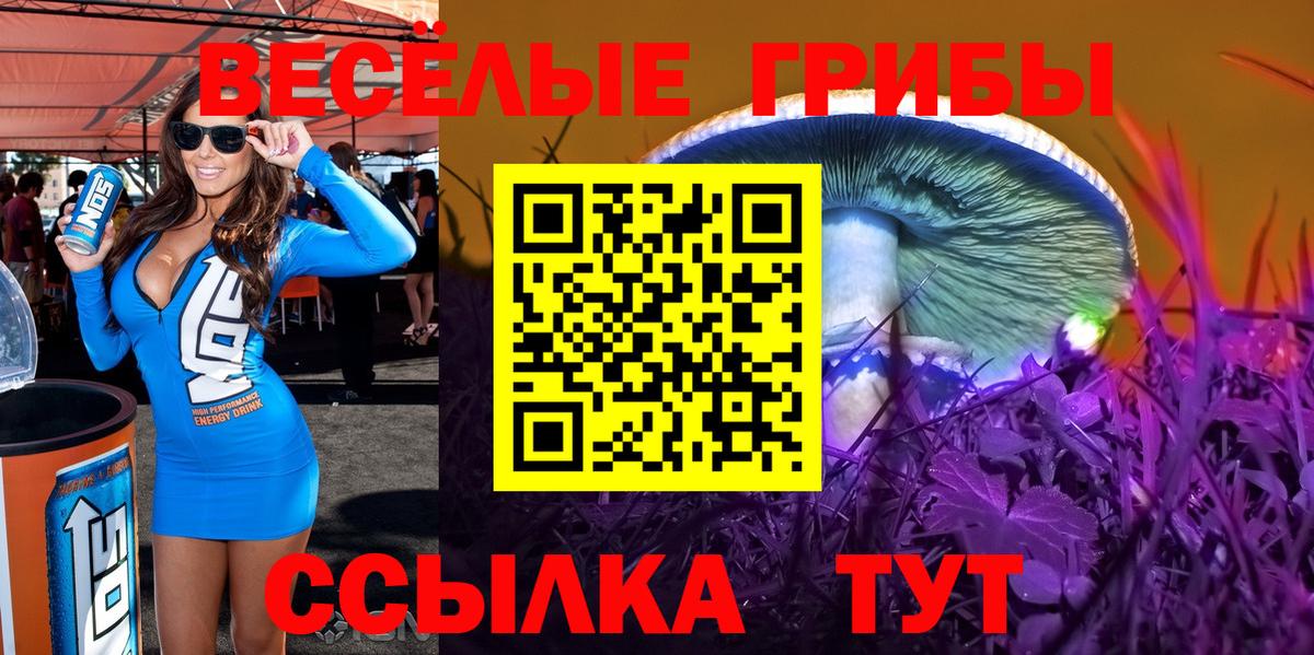 Салават  Псилоцибиновые грибы MAGIC MUSHROOMS  купить  цена  Вход с VPN  Галлюциногенные грибы Magic Shrooms 